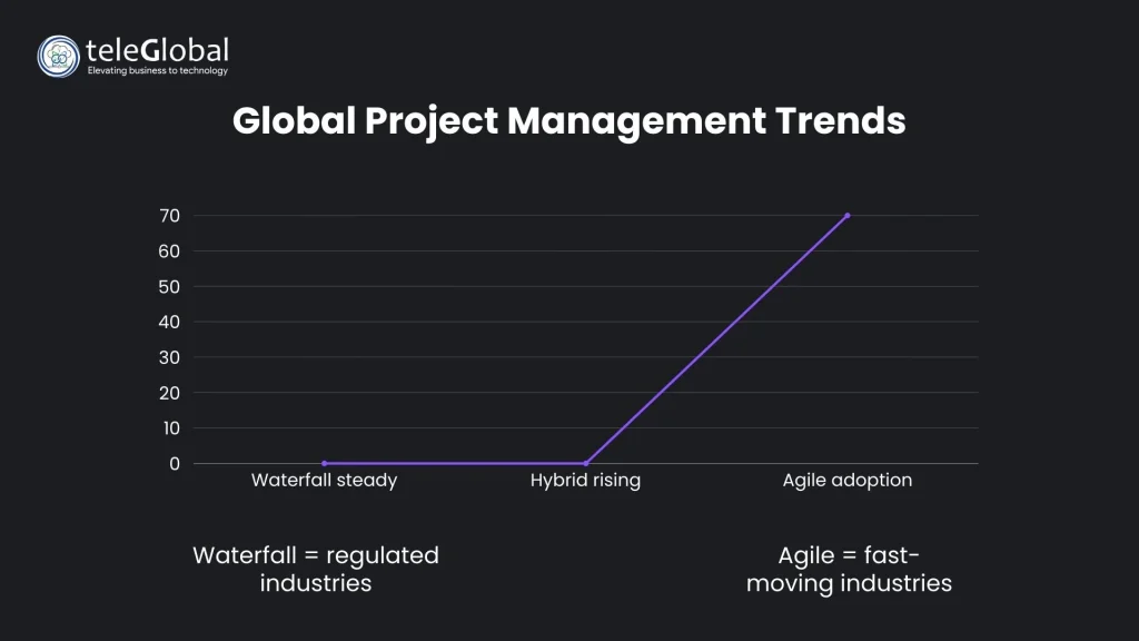Global Project Management Trends 