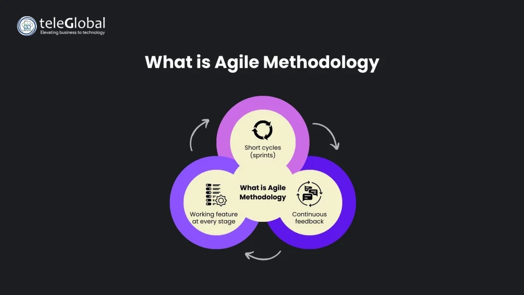 What Is Agile Methodology 