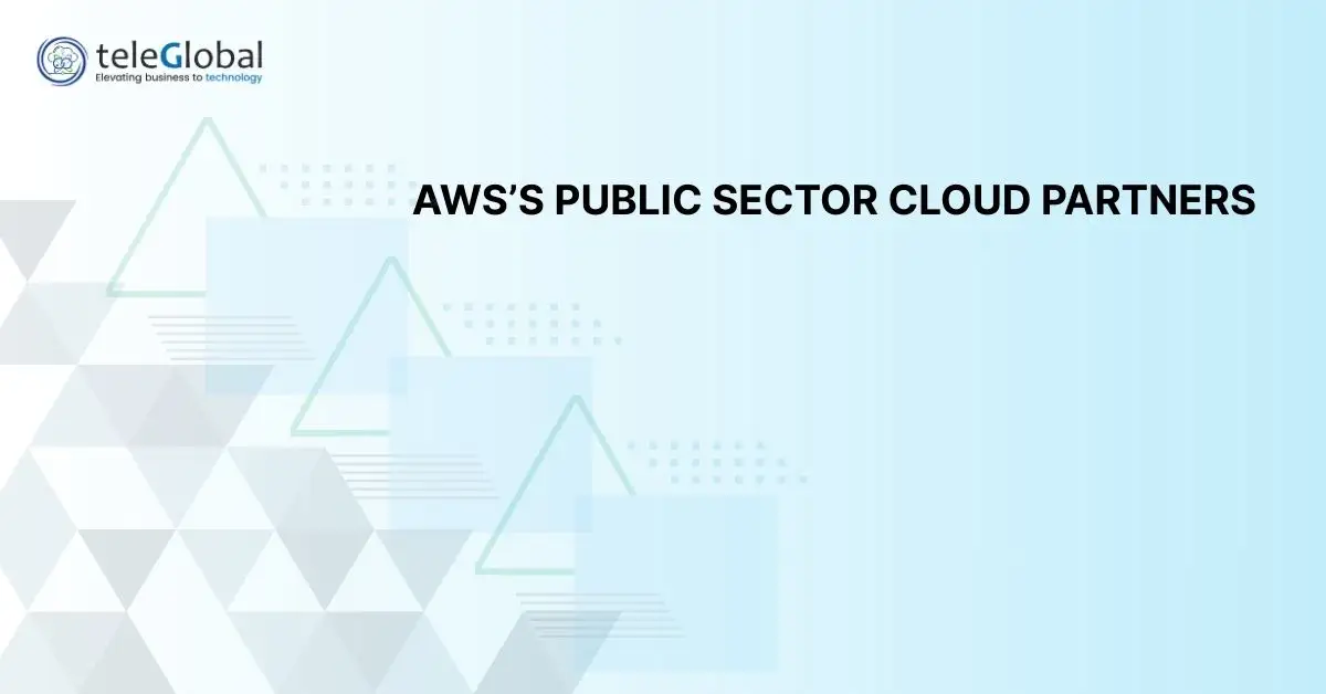 AWS's Public Sector Partners